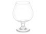 Vivalto Copa à Liqueur 500 ml en Verre Transparent 10x15x10 cm (Set de 24)