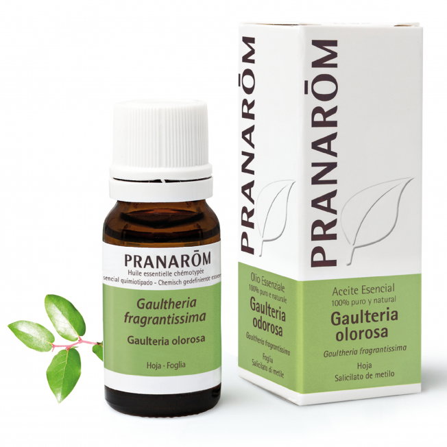 PRANAROM Huile essentielle BIO de Gaultheria olorosa 10 ml PRANAROM Huile essentielle BIO de Gaultheria olorosa 10 ml