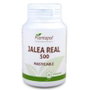 PLANTAPOL Gelée Royale 565mg 60 comprimés masticables