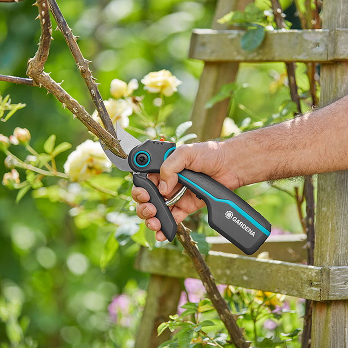 Gardena AssistCut Sécateur à batterie Gardena AssistCut Sécateur à batterie