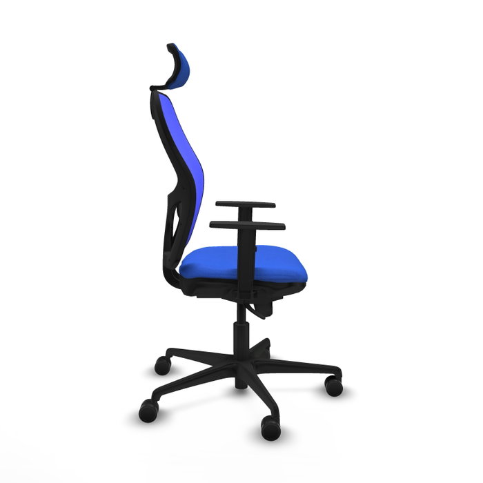 Piqueras y Crespo Chaise de Bureau Jorquera Bleue avec Appui-tête et Soutien Lombaire Piqueras y Crespo Chaise de Bureau Jorquera Bleue avec Appui-tête et Soutien Lombaire