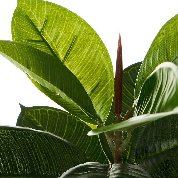 BigBuy Home Plante décorative Ficus 40 x 40 x 75 cm