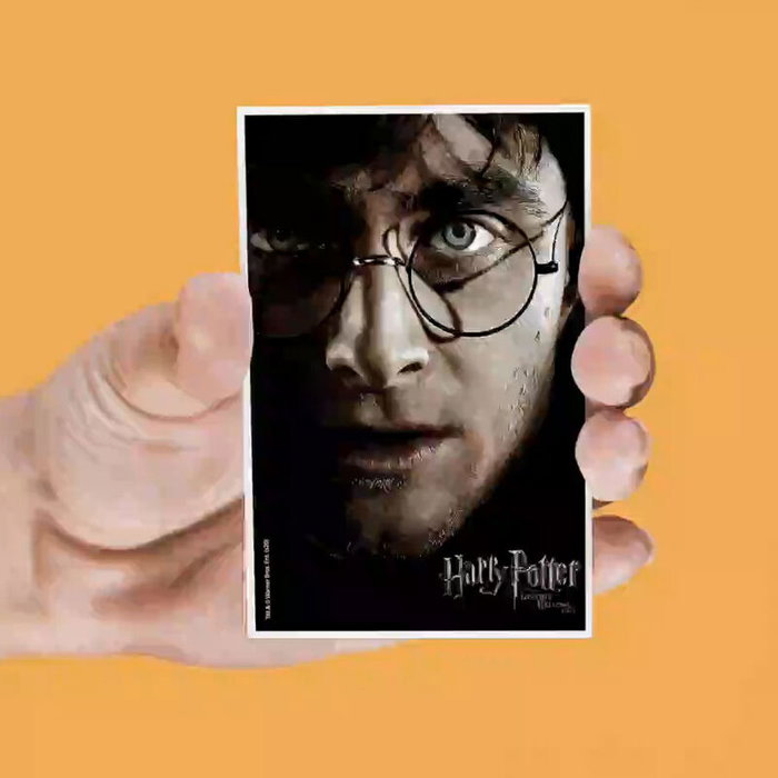 SD TOYS - Set de 4 aimants lenticulaires Harry Potter assortis - Dimensions : 15 x 28.5 cm