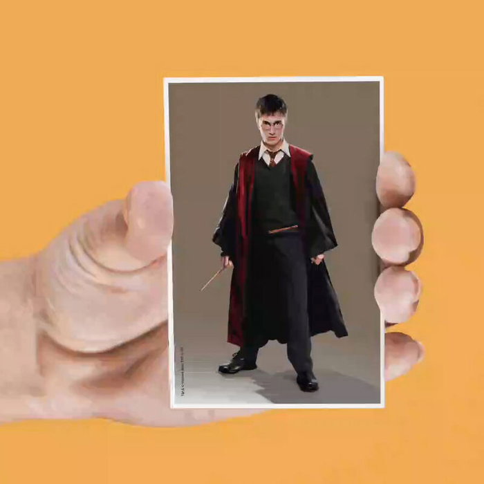 SD TOYS - Set de 4 aimants lenticulaires Harry Potter assortis - Dimensions : 15 x 28.5 cm