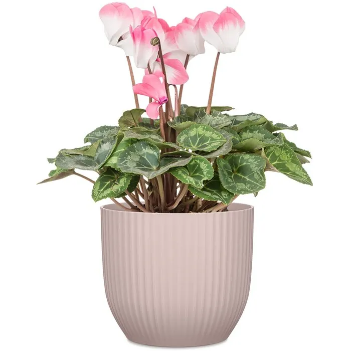 Deroma 231 - Pot de fleurs rond, 27 cm de diametre, 10 litres, couleur rose - Design elegant et contemporain pour interieur et exterieur Deroma 231 - Pot de fleurs rond, 27 cm de diametre, 10 litres, couleur rose - Design elegant et contemporain pour interieur et exterieur