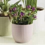 Deroma 231 - Pot de fleurs rond, 27 cm de diametre, 10 litres, couleur rose - Design elegant et contemporain pour interieur et exterieur