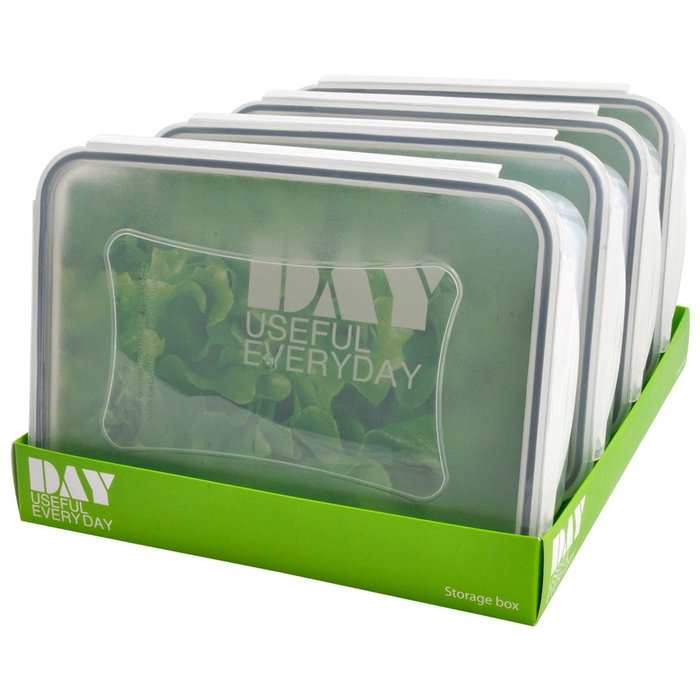 Day Contenant hermétique rectangulaire 2,5 L