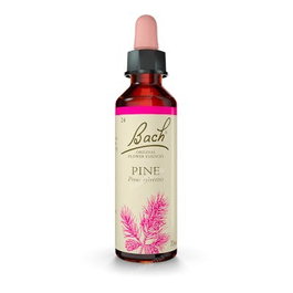Bach Pine / Pino Silvestre Nº24 20ml