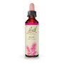 Bach Original Flores de Bach Pine 20 ml