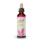 Bach Original Flores de Bach Pine 20 ml