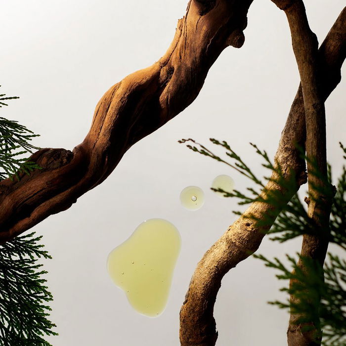 Rituals Mousse de Douche Homme 200 ml Bois de Cèdre et Vitamine E