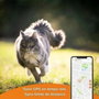 Weenect Weenect XS White Edition 2023 - Traceur GPS pour Chat