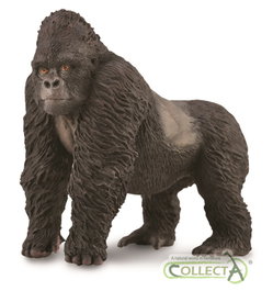 collectA Gorille de Montagne - L