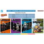 Banpresto Ichiban Kuji Naruto Shippuden Lot prix A-G Last One Jiraiya Orochimaru Tsunade figurine collection