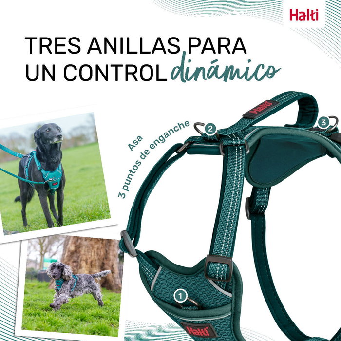 Harnais pour Chien Company of Animals Turquoise M 35-55 cm Harnais pour Chien Company of Animals Turquoise M 35-55 cm