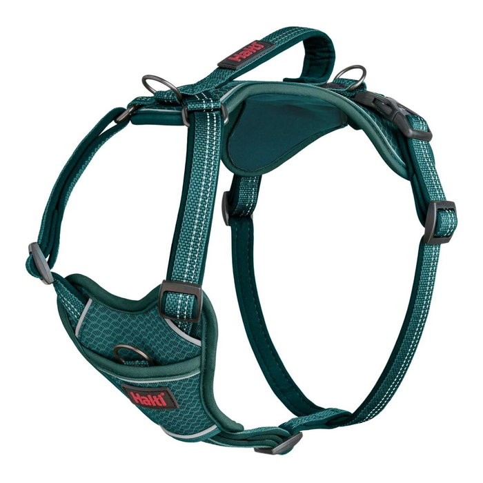 Harnais pour Chien Company of Animals Turquoise M 35-55 cm Harnais pour Chien Company of Animals Turquoise M 35-55 cm