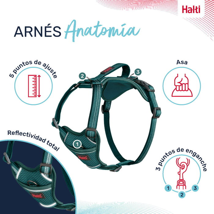 Harnais pour Chien Company of Animals Turquoise M 35-55 cm Harnais pour Chien Company of Animals Turquoise M 35-55 cm