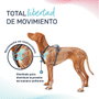 Harnais pour Chien Company of Animals Turquoise M 35-55 cm
