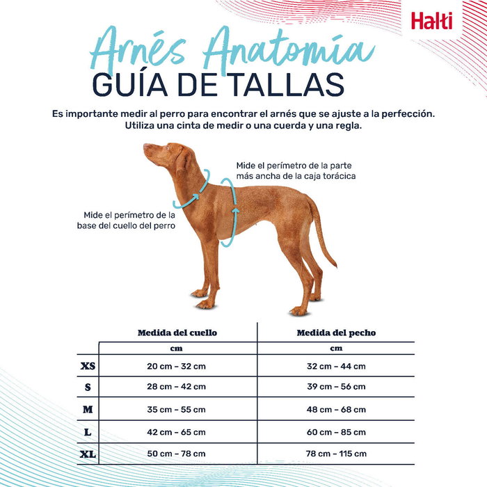 Harnais pour Chien Company of Animals Turquoise M 35-55 cm Harnais pour Chien Company of Animals Turquoise M 35-55 cm