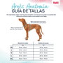 Harnais pour Chien Company of Animals Turquoise M 35-55 cm