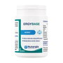 NUTERGIA ERGYBASE 60 capsules
