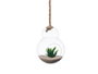 GIFTDECOR Vase Suspendu Double Boule avec Corde - Petit