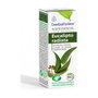 Esential Aroms Eucalyptus Radiata Huile Essentielle 10 ml