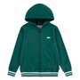 Sweat à capuche enfant Levi's Lvb Varsity Olive 5.0-Light Brunette