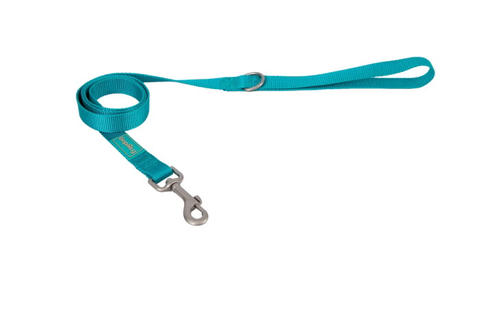 Freedog Laisse Nylon Basic Turquesa 20mm 120cm Freedog Laisse Nylon Basic Turquesa 20mm 120cm