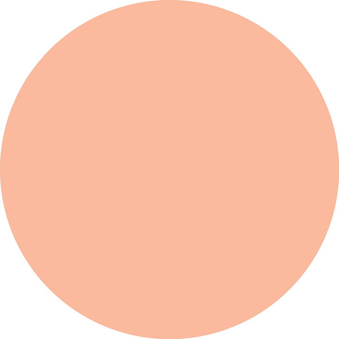 Catrice SOFT BLUR 030W Poudre matifiante pour aérographe, effet blur et mat immédiat, contrôle de la brillance 12h, floute les pores, 10 g