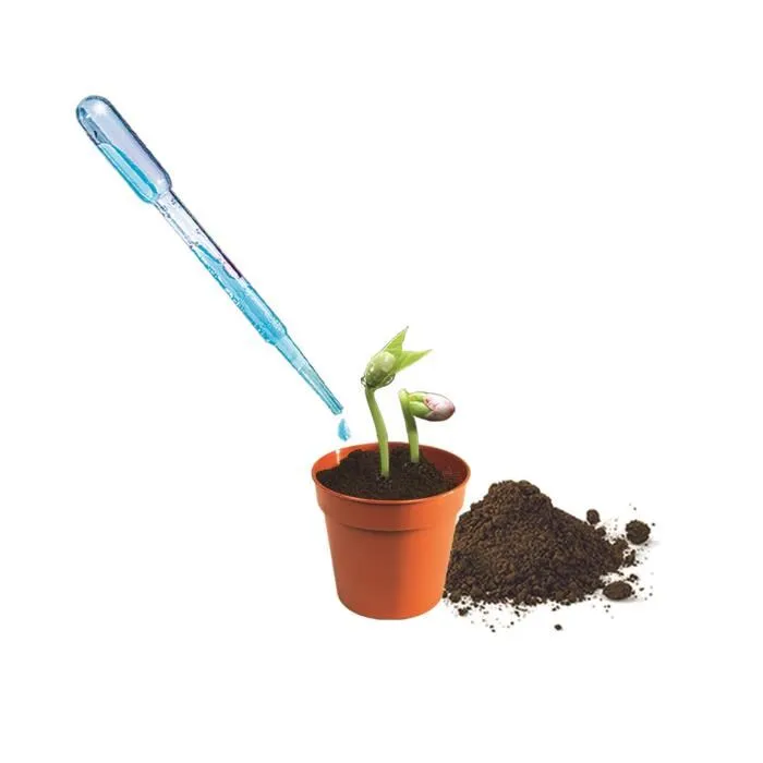 Clementoni Mini Serre botanique à assembler - Coffret avec pots, tourbe, graines et accessoires pour faire pousser des plantes