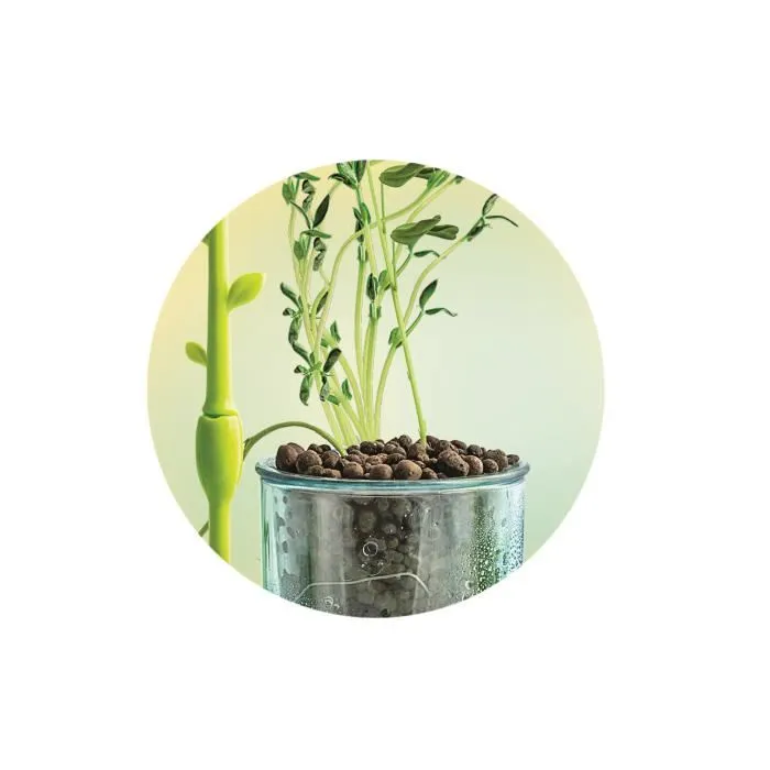 Clementoni Mini Serre botanique à assembler - Coffret avec pots, tourbe, graines et accessoires pour faire pousser des plantes