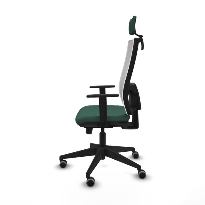 Piqueras y Crespo Chaise de Bureau Horna Vert Bouteille et Blanc Piqueras y Crespo Chaise de Bureau Horna Vert Bouteille et Blanc