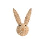 Home ESPRIT Figurine Décorative Esprit Naturel