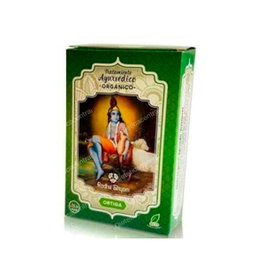 Radhe Shyam Traitement Capillaire Ayurvédique Ortie 100g Bio