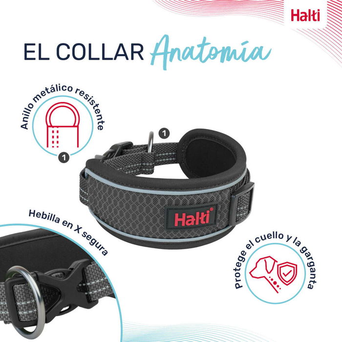 Collier pour Chien Company of Animals Gris