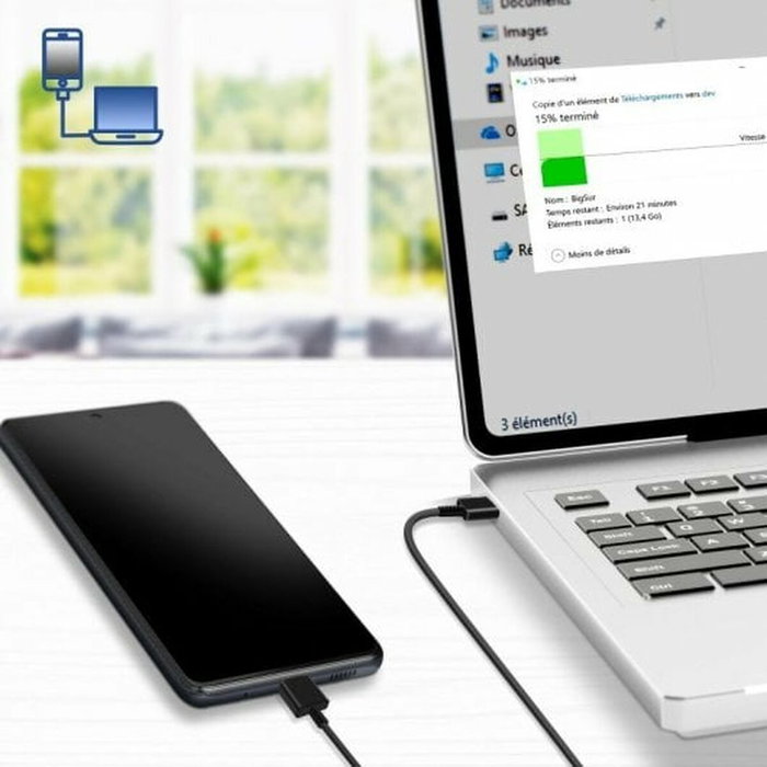 Samsung Câble USB-C EP-DX310JBEGEU Noir 1,8 m