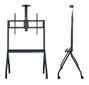 TooQ iStar Support Sol avec Roulettes pour Écrans 55"- 100", VESA 200x200 à 900x600, Noir