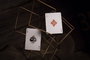 Theory 11 jeu de cartes à jouer National