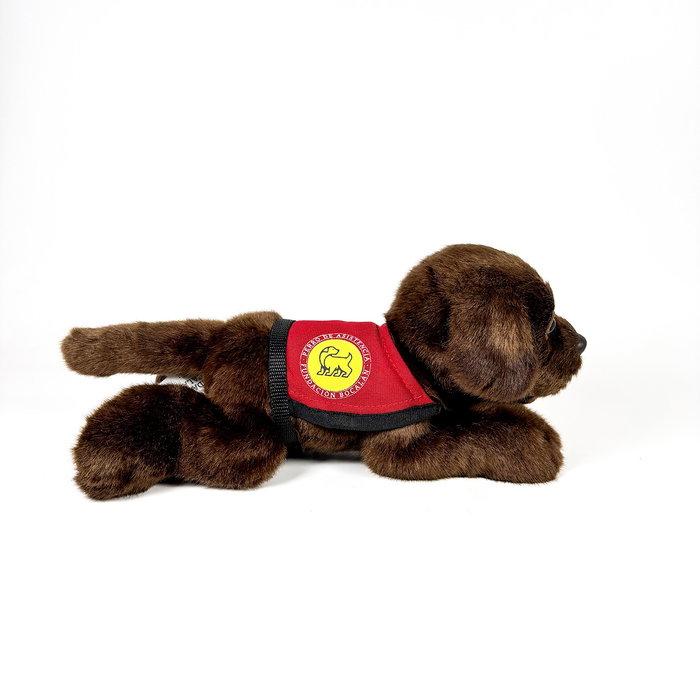 Bocalan Peluche Labrador Chocolat avec gilet - 21 cm - Décoratif et contributif - 939D00248