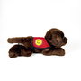 Bocalan Peluche Labrador Chocolat avec gilet - 21 cm - Décoratif et contributif - 939D00248