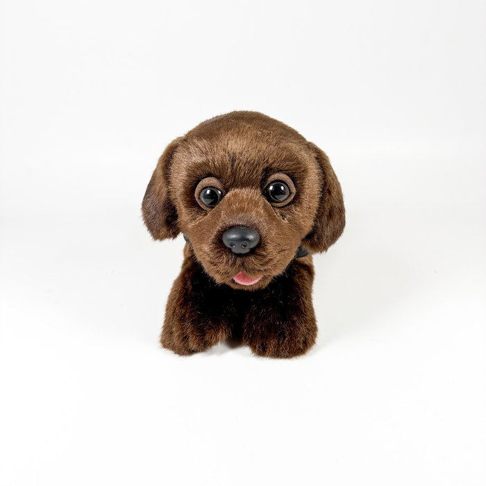 Bocalan Peluche Labrador Chocolat avec gilet - 21 cm - Décoratif et contributif - 939D00248