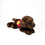 Bocalan Peluche Labrador Chocolat avec gilet - 21 cm - Décoratif et contributif - 939D00248