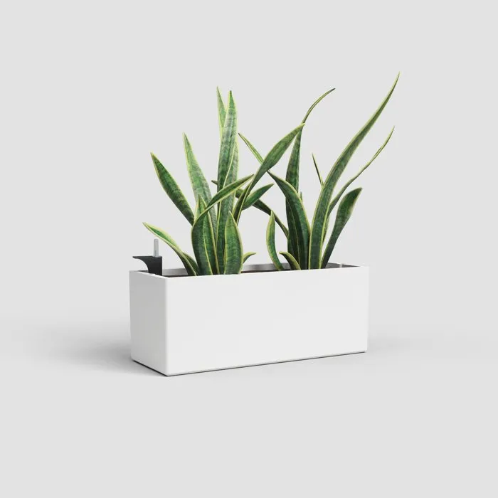 ARTEVASI - Jardinière Rimini 20 x 51 x H 20 cm - 17 L - Blanc - Système d'arrosage automatique inclus
