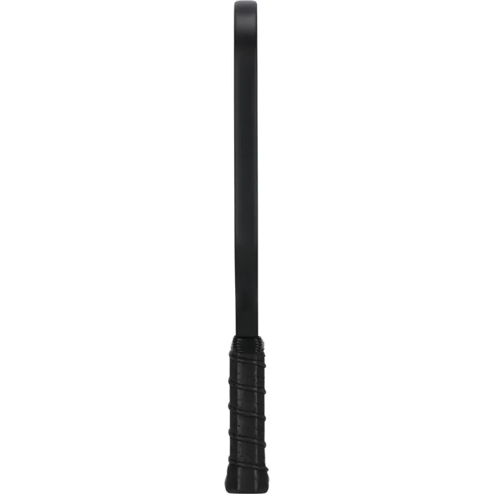 FZ FORZA Raquette de pickleball ACE P200 - Noir