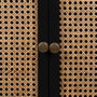 Armoire Alexandra House Living Noir Rotin Bois d'épicéa Bois MDF 40 x 135 x 70 cm