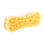 Universal Brosse à main en bois avec fibres polypropylène 22 x 7 x 5 cm, nettoyage sec et humide