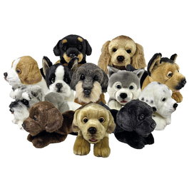 DEQUBE Peluche Chien ou Chat Assorti 25 cm en Présentoir Bocalan 939D00283
