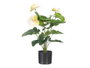 Ibergarden Maceta Flor Flamingo Surtidos Col 65 cm Plastique Vert/Morado/Blanc (Set de 6)