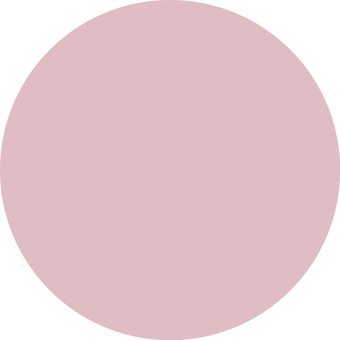 Catrice Vernis à ongles fortifiant Sheer Beauties n° 030 Barely Blushed pour ongles fragiles, 10.50 ml